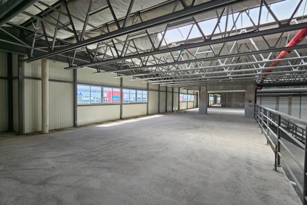 Warehouse for sale or rent in zona uno - 1,252 m2