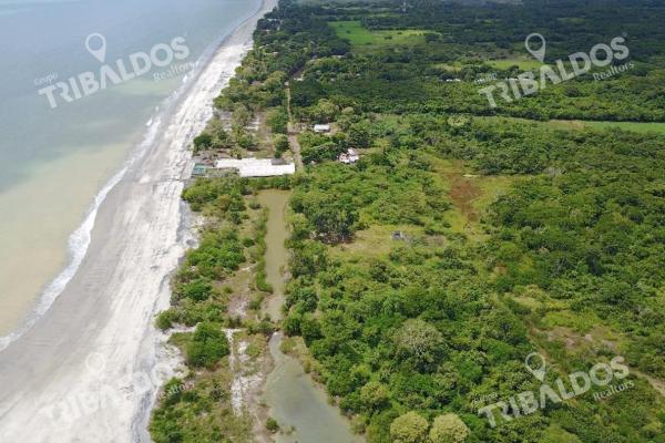 Sale of land in juan hombron