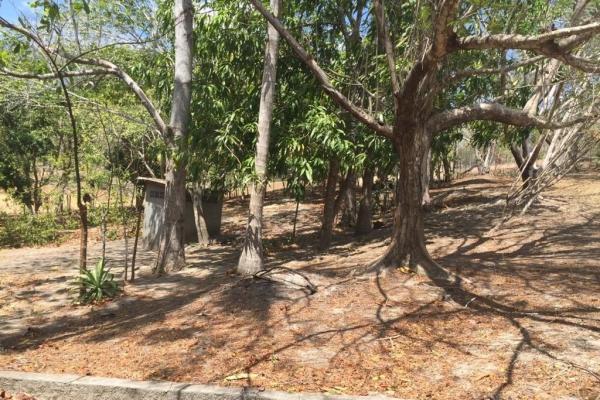 Beachfront property in riomar - san carlos