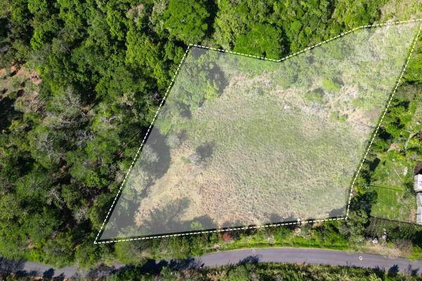 Santuario de montaña: lote sereno con encanto de colina