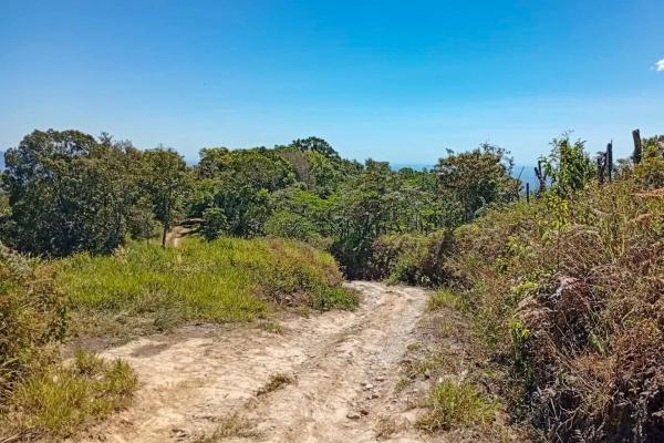 22 hectares with creek and mountain views