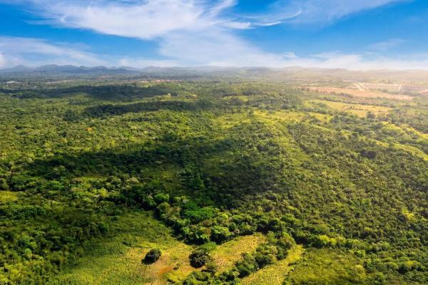 Terreno de 9,4 hectáreas en venta en arraijan central