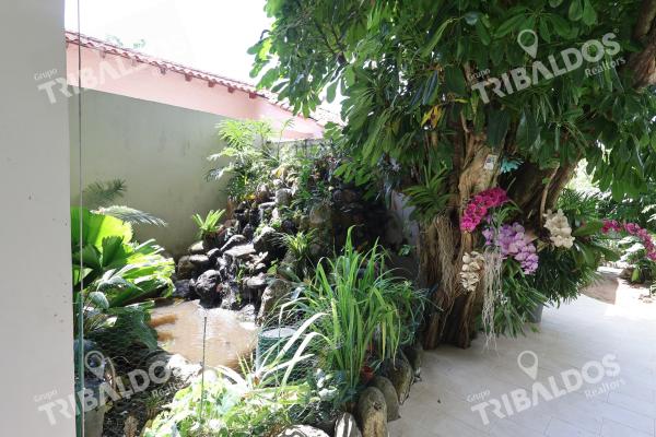 Alquiler de casa en altos del golf