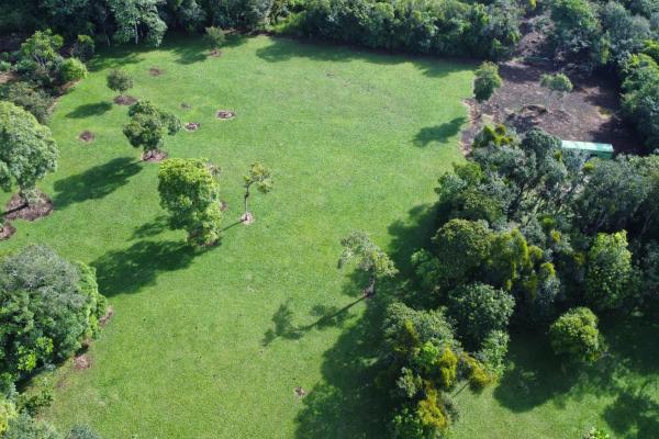 Lote de 1.86 hectáreas en potrerillos arriba dolega
