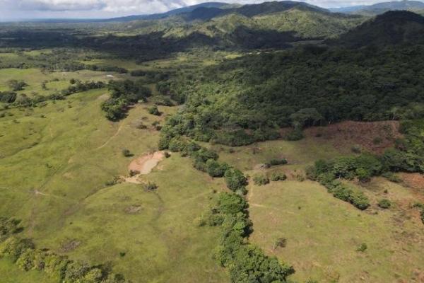 Venta de finca margarita chepo 200 has