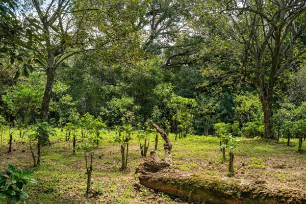 Terreno panorámico en boquete, panamá