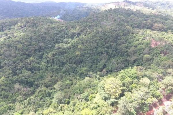 Land for sale in colon, buena vista, el giral