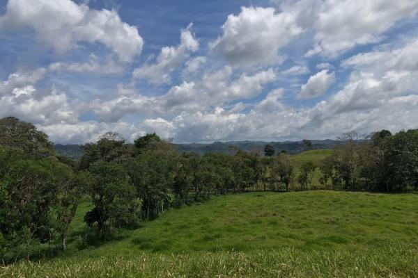 Expansive 146.652 ha property with water sources