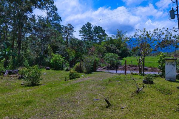 Land with a natural creek