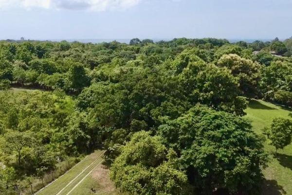 Beach finca in costa esmeralda.