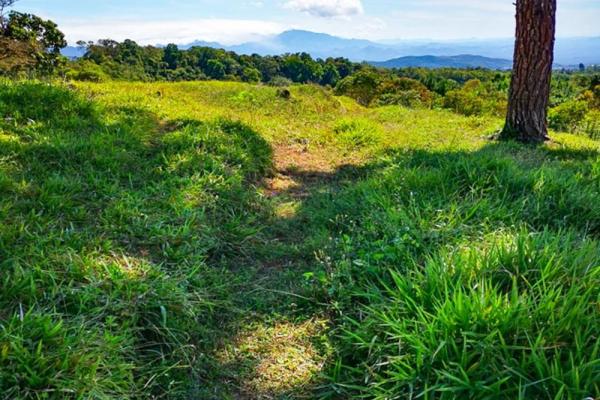 Finca cafetalera en venta en potrerillos arriba
