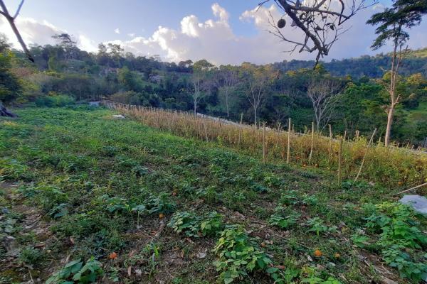 Finca productiva de 20.55 hectáreas con agua viva y excelente ubicación