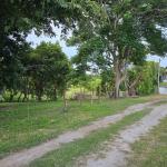 Land in la ermita 400 meters from the beach