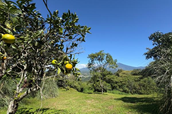 Commanding panoramic view of volcan baru