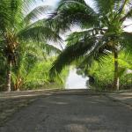 Península con casa y acceso al mar