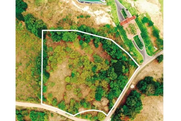 Prime flat lot near buenaventura – playa blanca