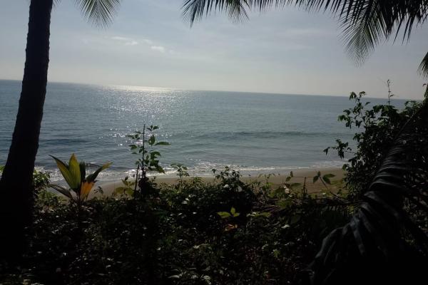 Land 172 acres in puerto armuelles, limones io