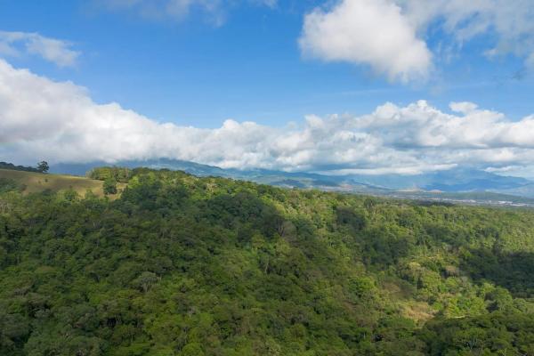 22 hectares with creek and mountain views