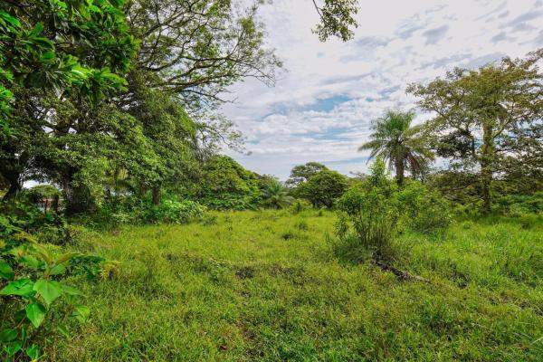 Agricultural land near david panama