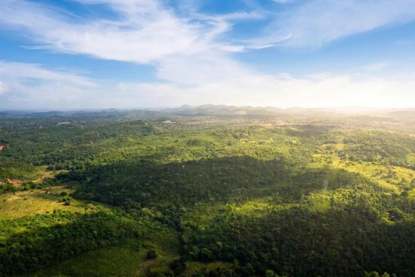 Terreno de 9,4 hectáreas en venta en arraijan central