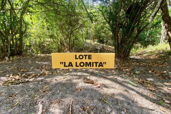 4.3 hectares finca – ideal community project