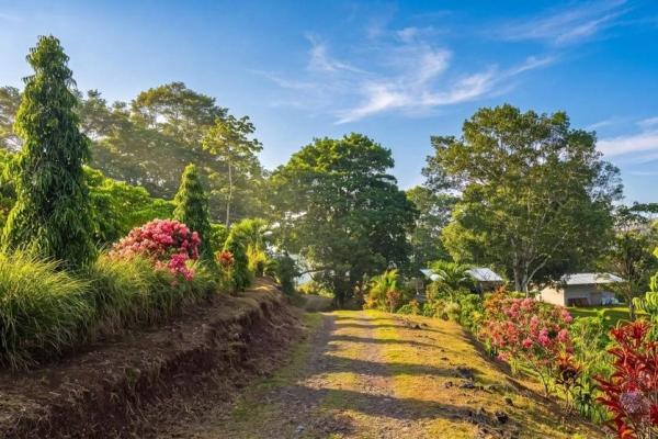 Coffee farm for sale in el cascajal, la pintada