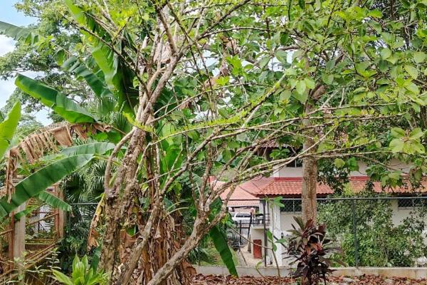 3 bedroom home for sale in ancon, panama city