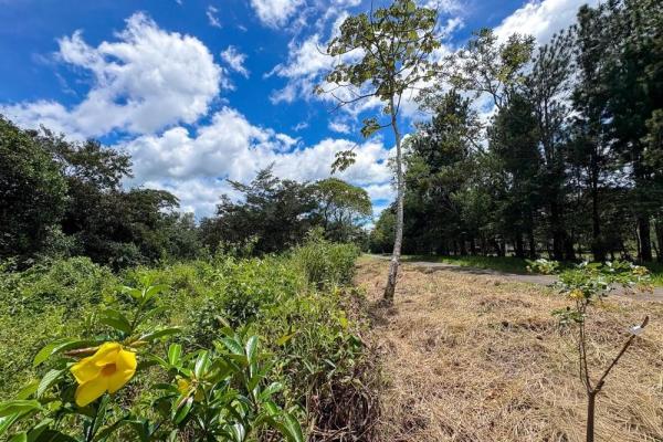 1.28-acre lot sale in potrerrillos, dolega