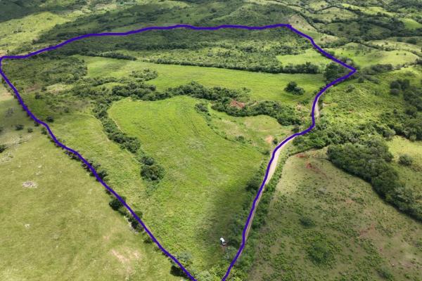 Venta de finca agricola ideal para ganadería y otros cultivos en ocú