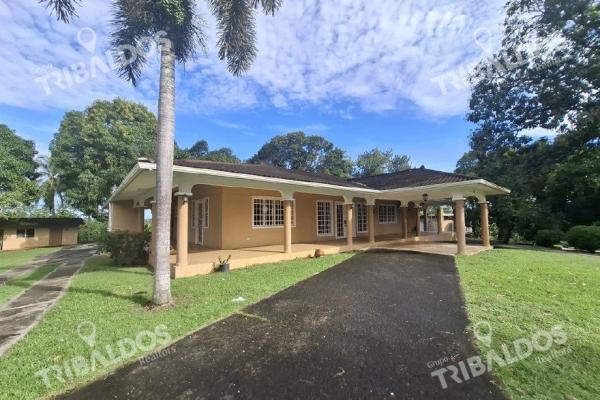 Sale of house in chorerra