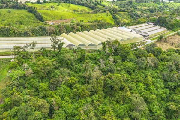 Land with natural forest and mountain views