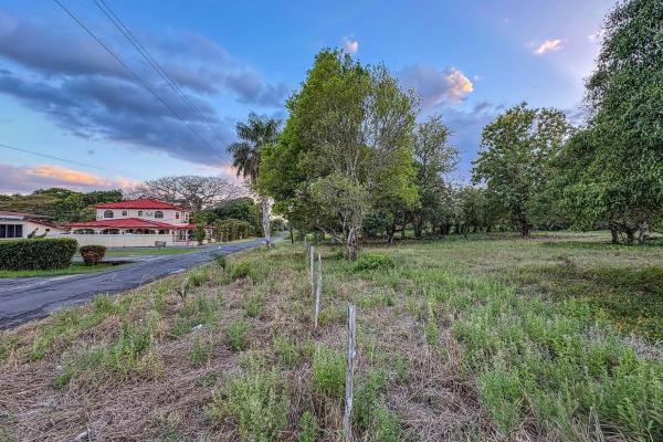 Terreno residencial en venta en la perla, david