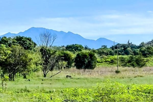 House for sale in bugaba chiriqui