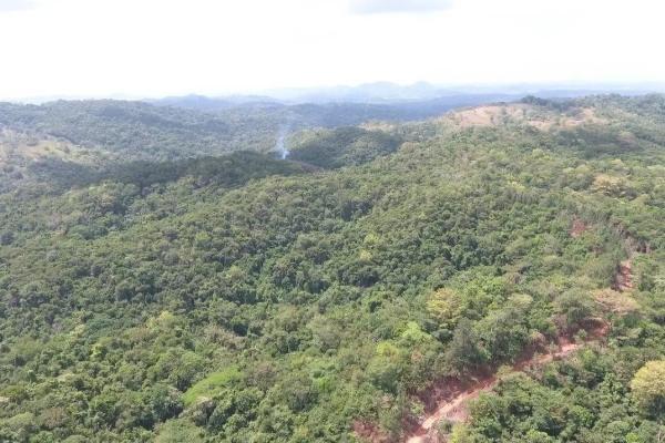 Land for sale in colon, buena vista, el giral