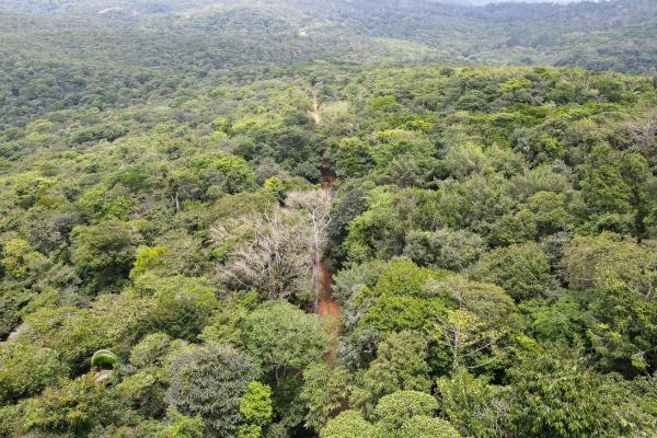 Land for sale in cerro azul