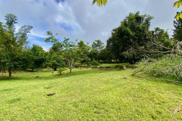 Mountain finca in chica