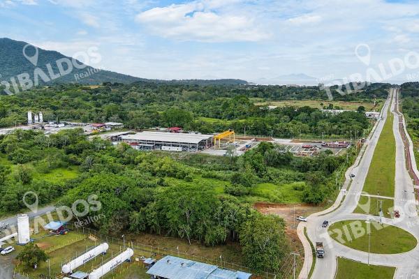 Industrial land for rent in vacamonte