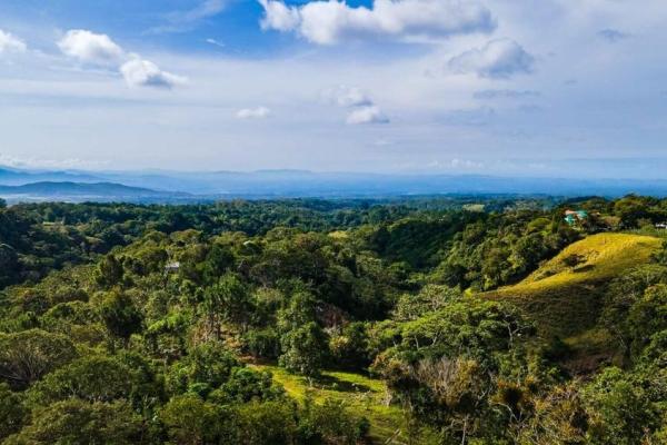 Finca cafetalera en venta en potrerillos arriba