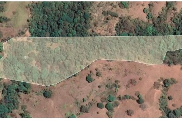 Cambutal lush property for sale near town
