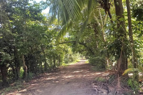Terreno frente al mar en puerto armuelles panamá