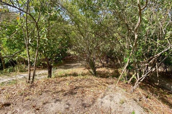 Finca de 4.3 hectareas – proyecto ideal comunidad