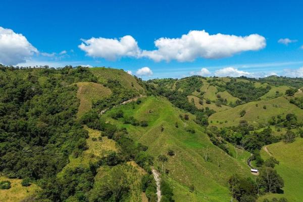Expansive 146.652 ha property with water sources