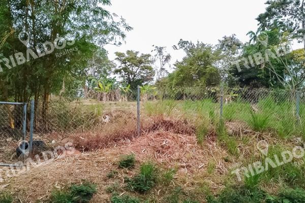 Lote for sale