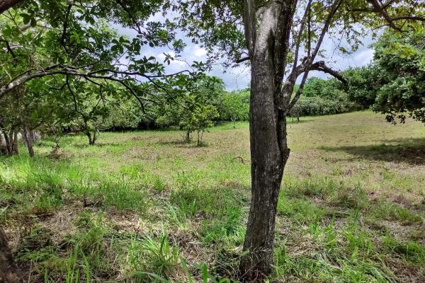 Se vende terreno en punta barco