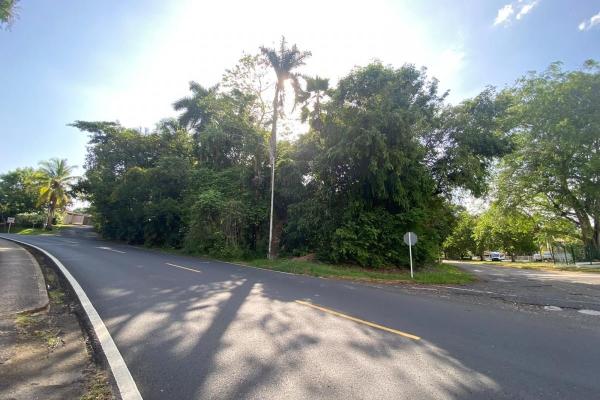 Corner residential lot in diablo | 666 m² |