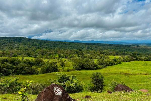 Se vende hermosa finca de 16+ hectareas en jaramillo, boquete