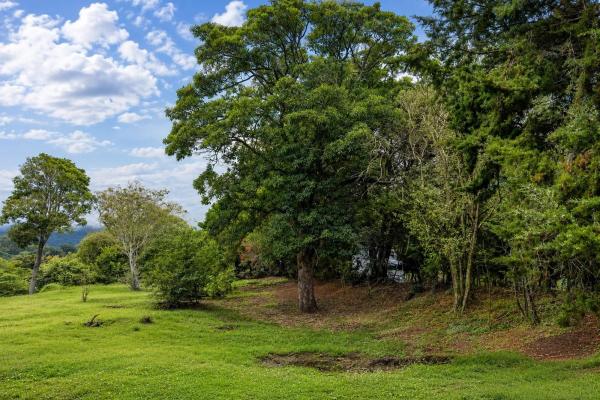Terreno de 2.600 m² en venta en volcancito, boquete