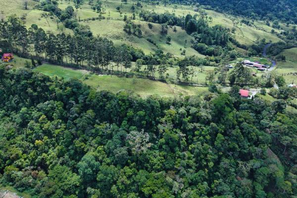 Land for sale – boquerón, cordillera arriba