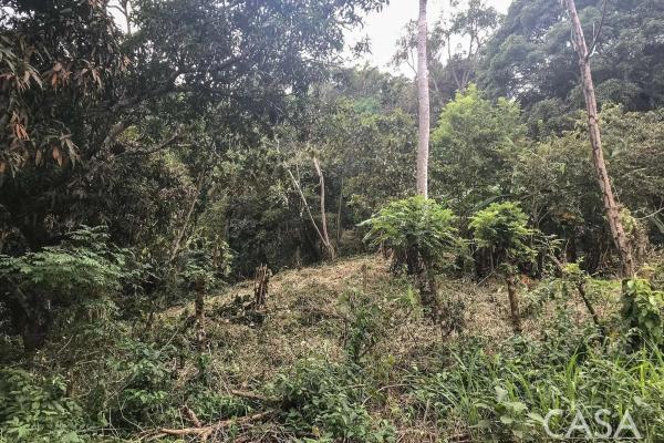 Terreno de 4 hectáreas en venta en veracruz, panamá