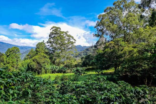 Premium home building lot in las terrazas –boquete